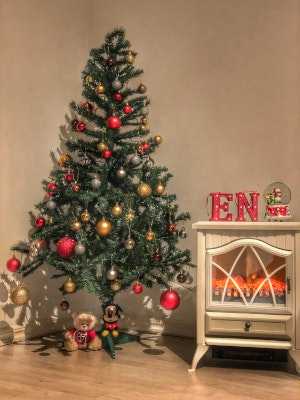 Where to buy Christmas trees in Geneva 2020