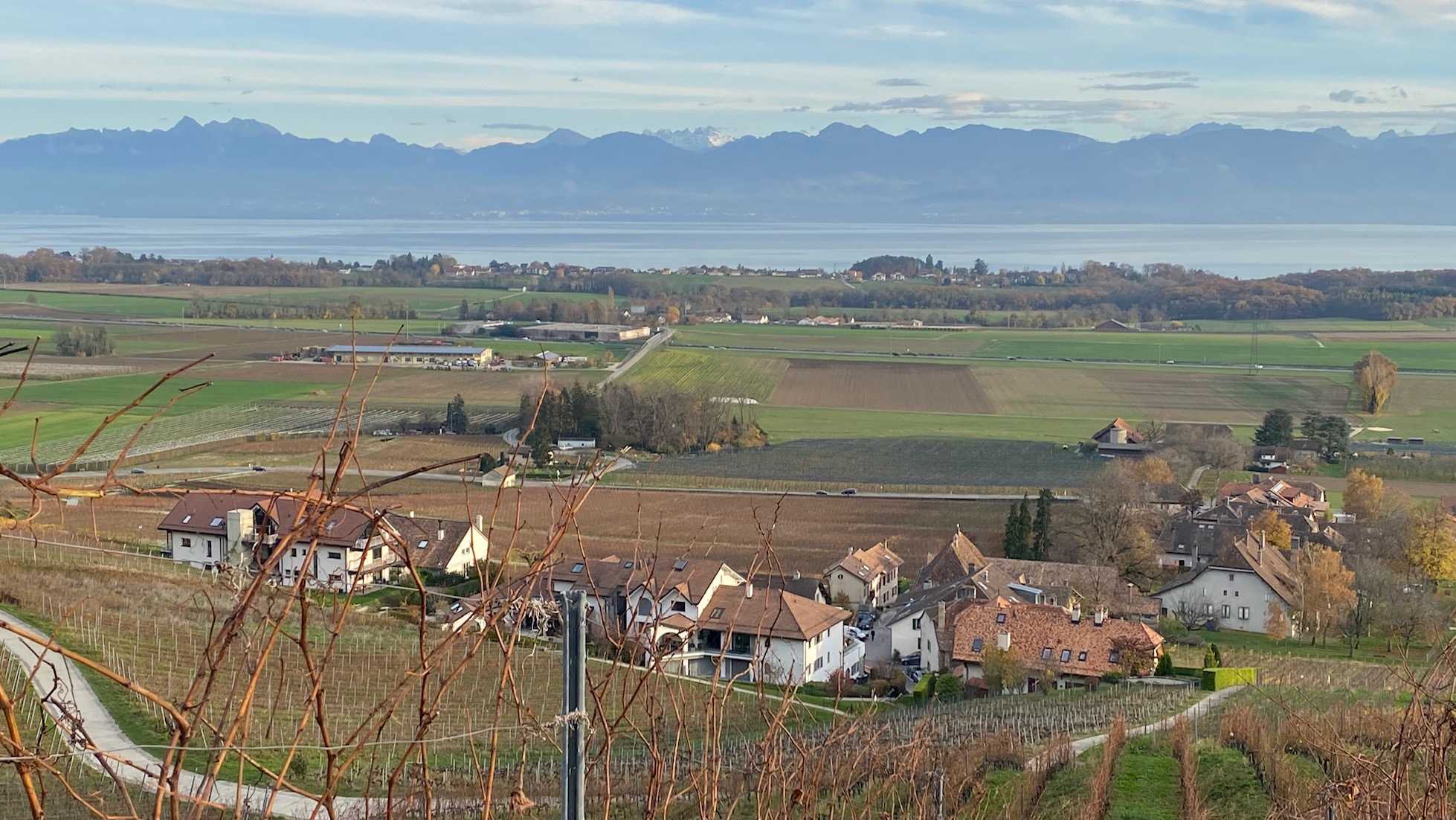 Panoramic view of the vineyards, Vaud