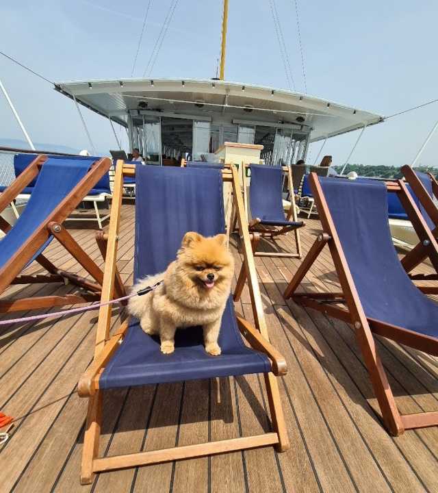dog-friendly cruise Geneva