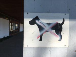 best dog walking spots in Geneva