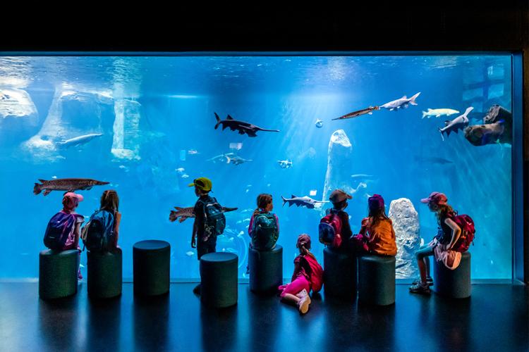 Aquatis aquarium Lausanne