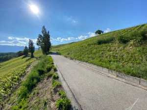 scenic bike route and vineyards - geneva